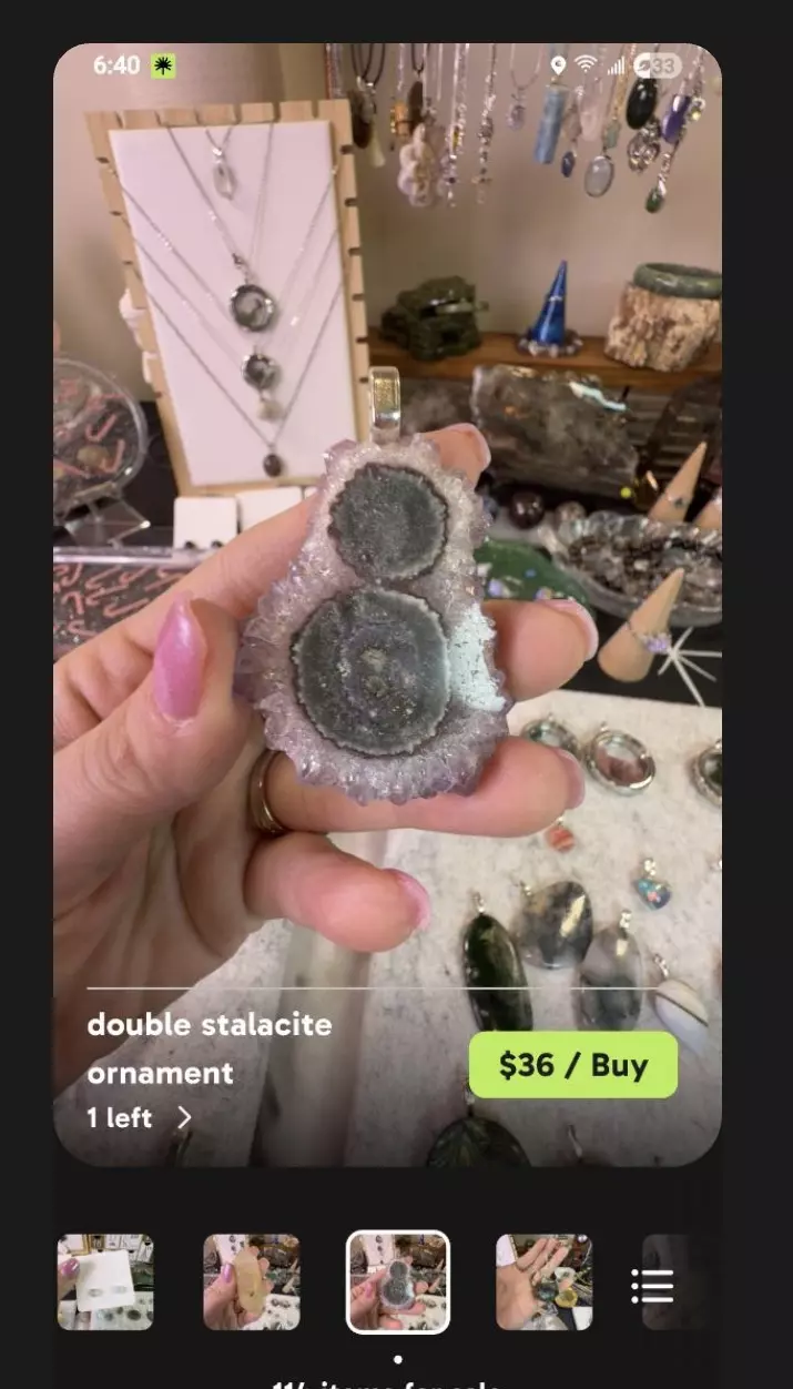 plant/stephie - use 20% off-0