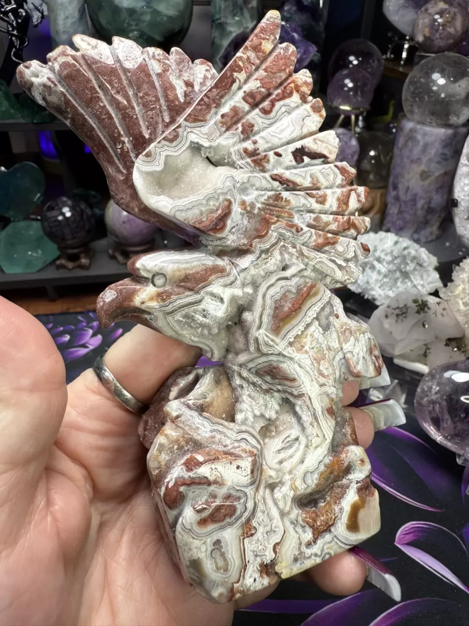 plant/Crazy Lace Agate carved eagle-1
