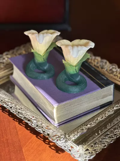 plant/Calla Lily Pair-1-thumbnail