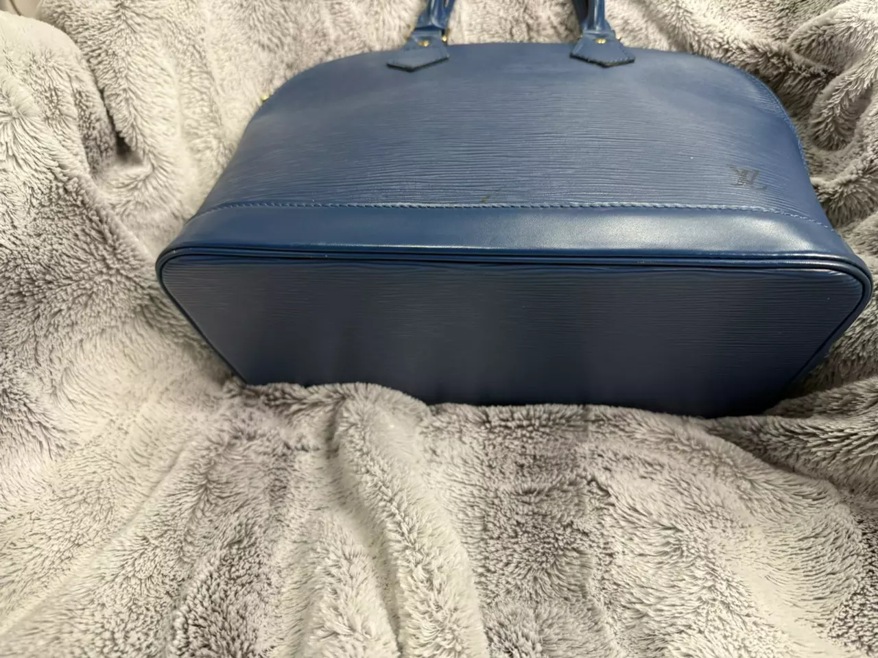 plant/Louis Vuitton epi Alma-2