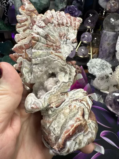 plant/Crazy Lace Agate carved eagle-2-thumbnail