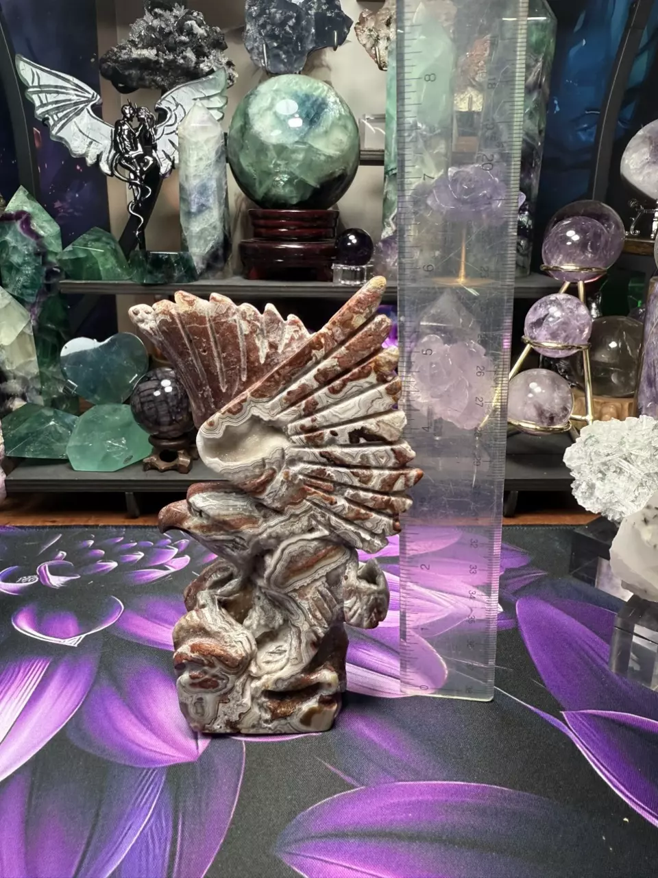 plant/Crazy Lace Agate carved eagle-4