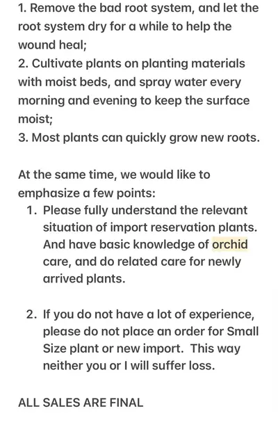 plant/Vanda Tango Fire Yellow Star- mounted orchid plant-7-thumbnail