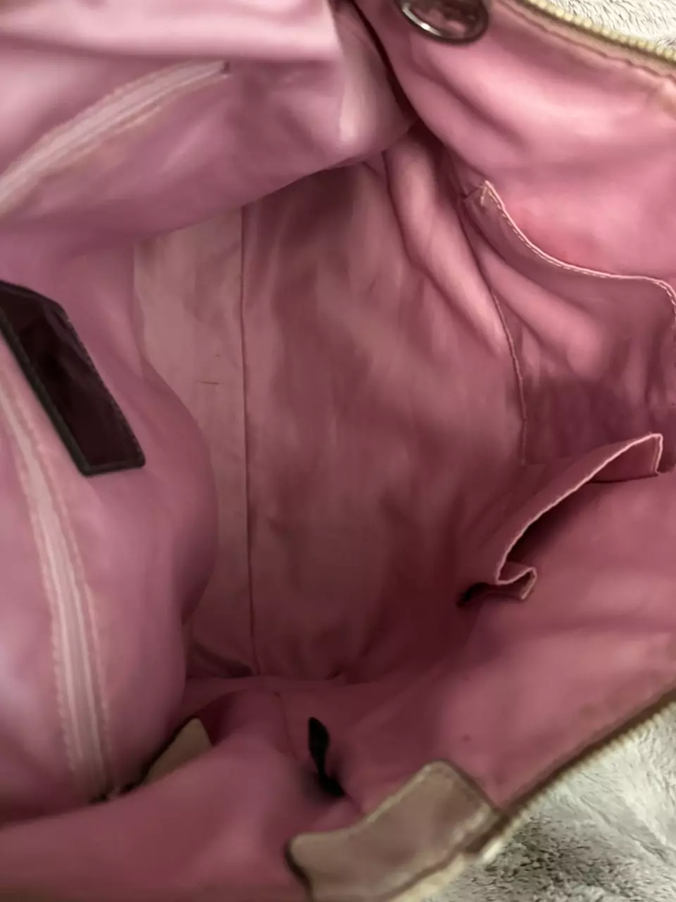 plant/Coach poppy tote-5