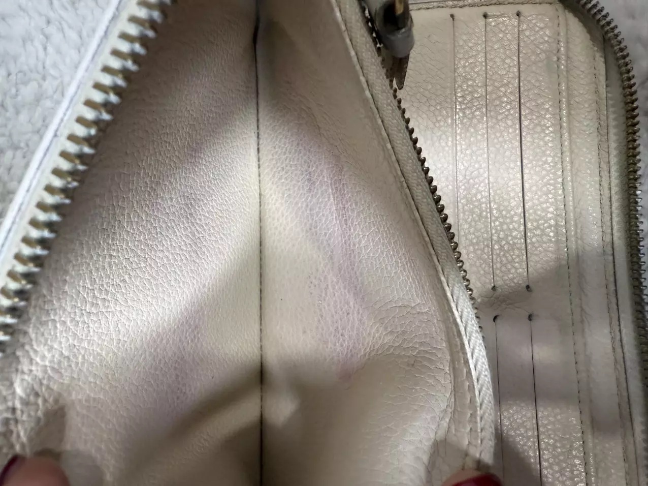 plant/Louis Vuitton EMPRIENTE insolite wallet-2