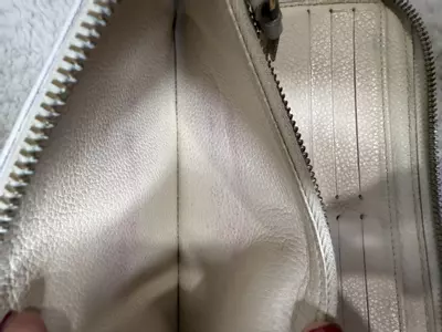 plant/Louis Vuitton EMPRIENTE insolite wallet-2-thumbnail