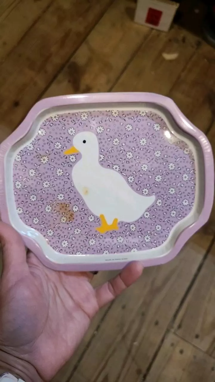 plant/Duck Metal Tray 7.5x6.25-0