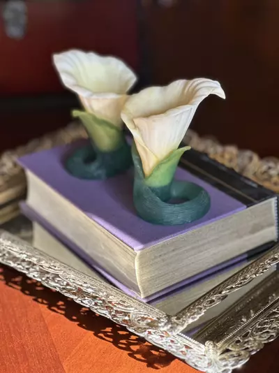 plant/Calla Lily Pair-0-thumbnail