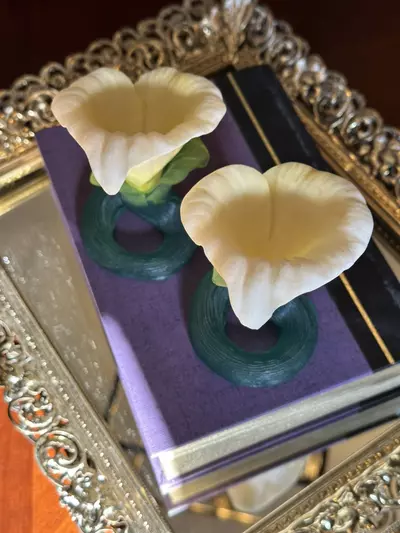 plant/Calla Lily Pair-2-thumbnail