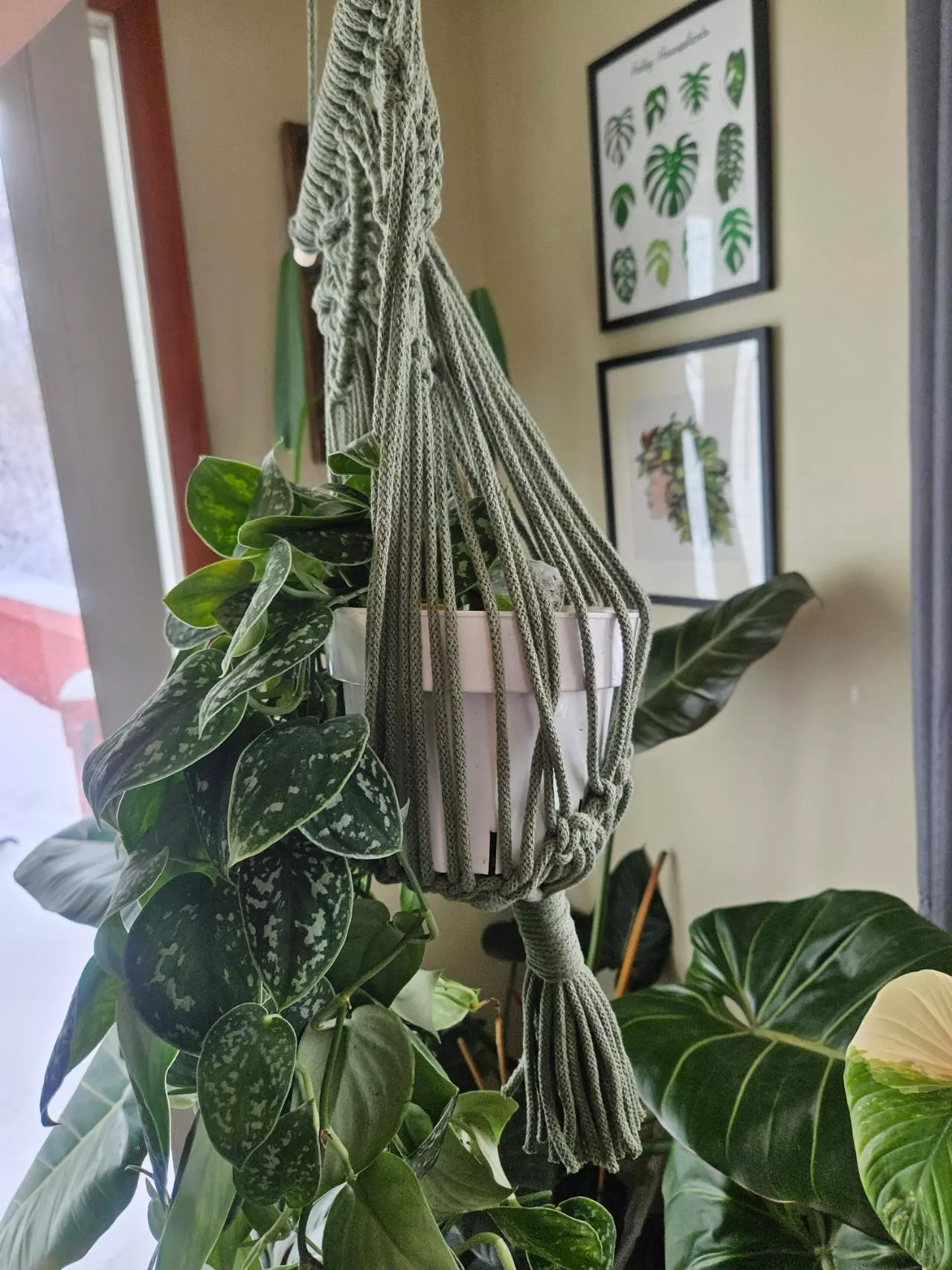 plant/5mm vine pattern macrame plant hanger in stock-2