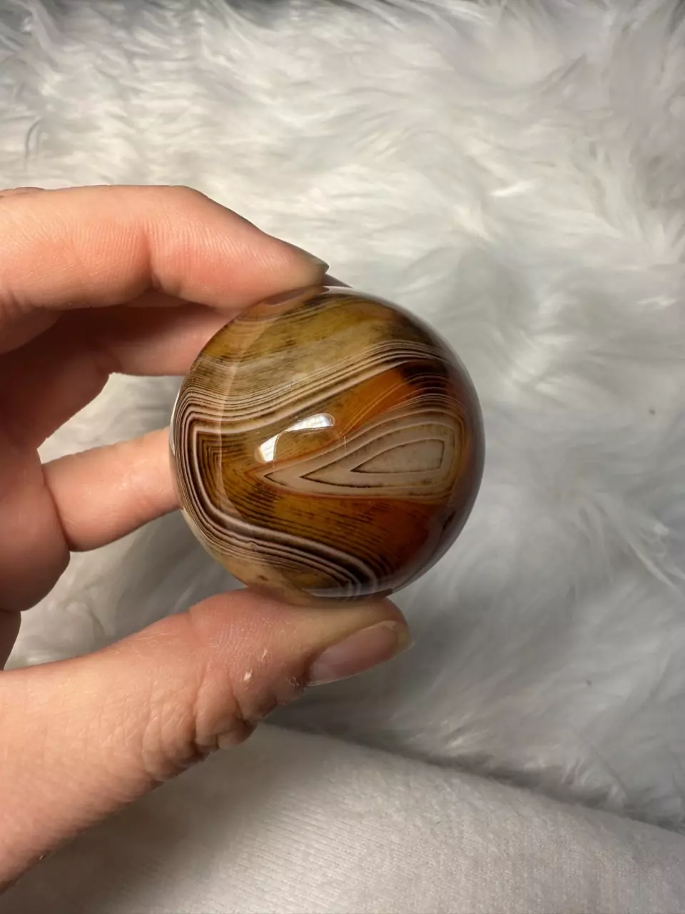 plant/Sardonyx sphere-0