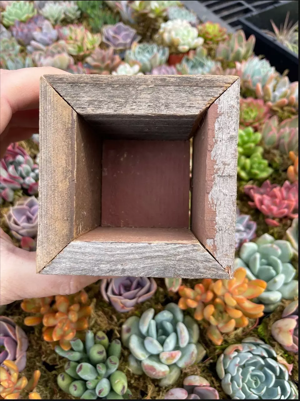 plant/Reclaimed Wood Planter - Small-1