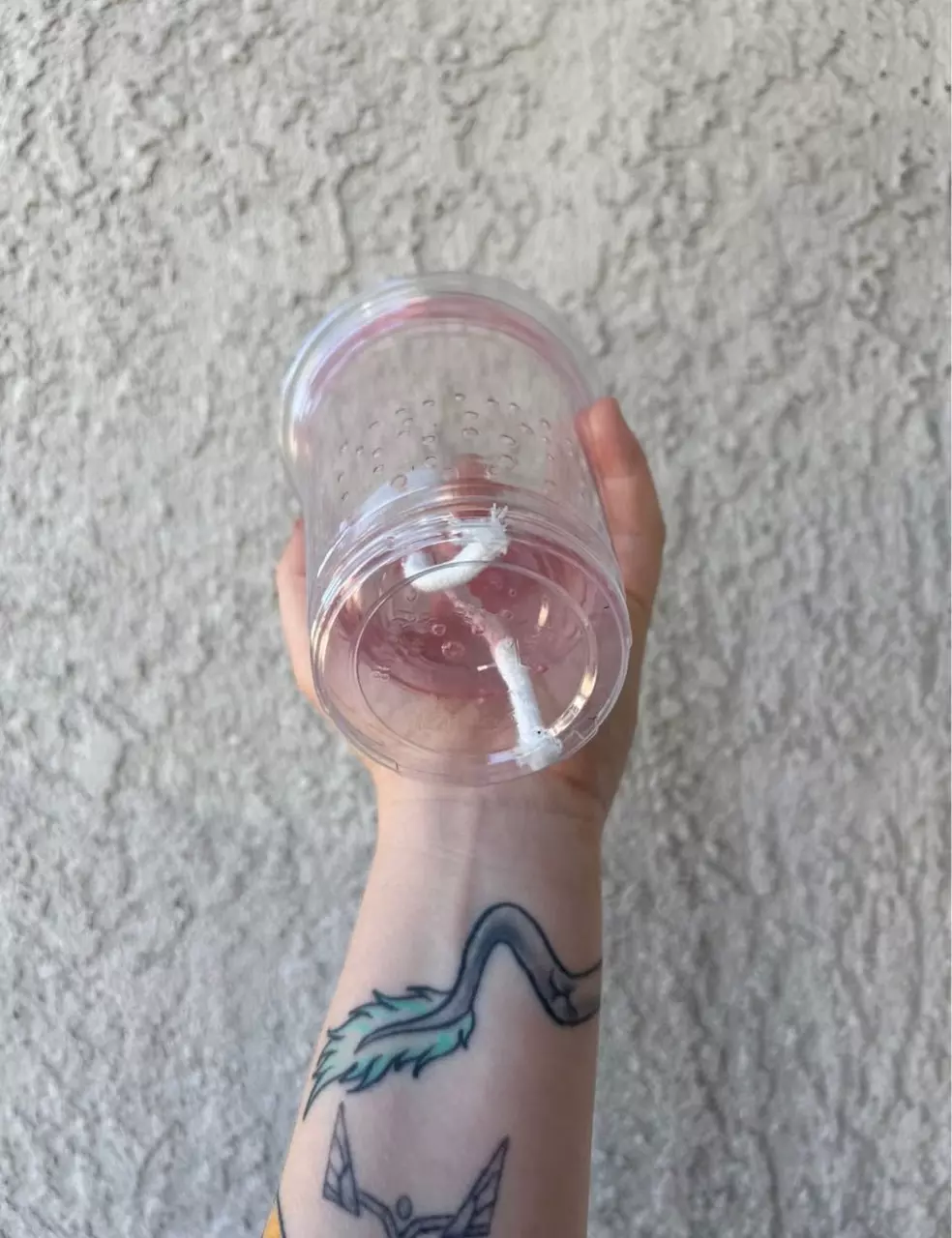 plant/Semi Hydro Pot/Cups-2