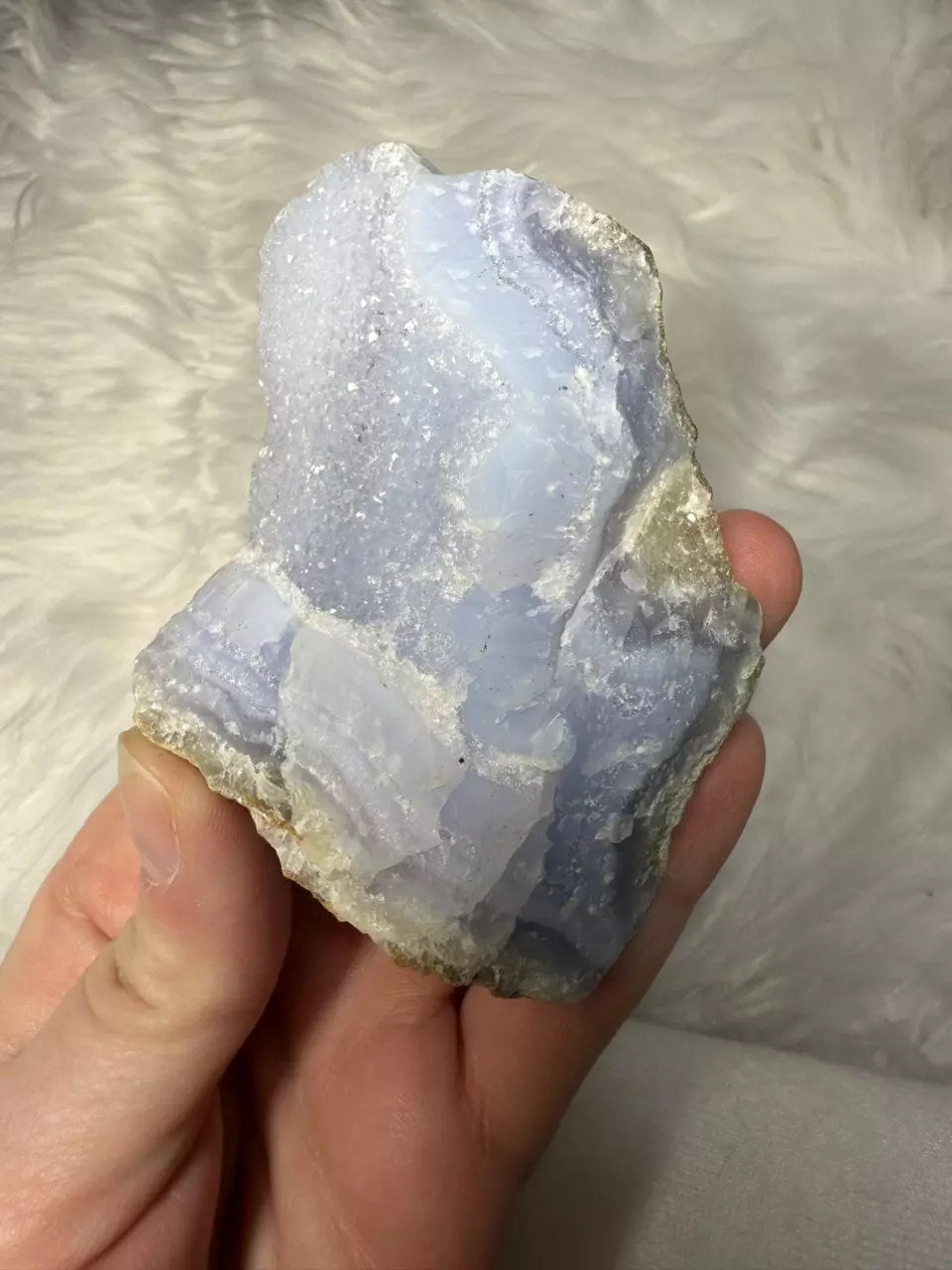 plant/Druzy blue lace agate-0