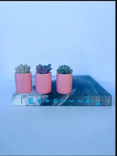 plant/Pink Pixie Pots - set of 3-3-thumbnail