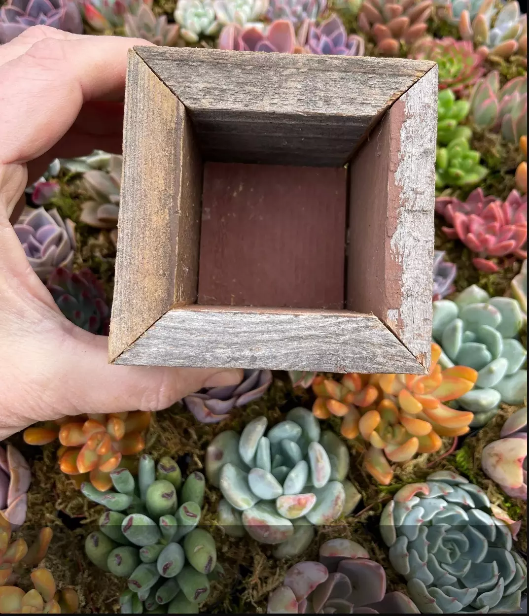 plant/Reclaimed Wood Planter - Small-0