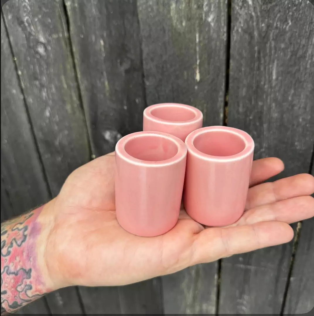 plant/Pink Pixie Pots - set of 3-0
