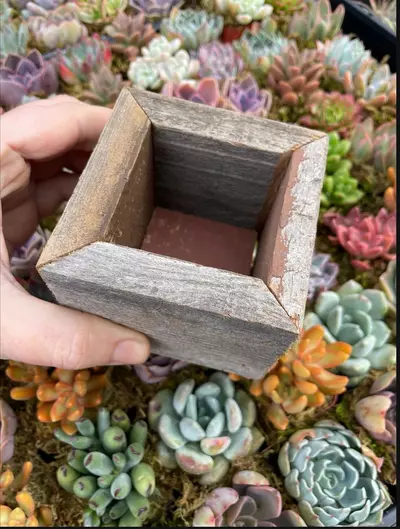 plant/Reclaimed Wood Planter - Small-3-thumbnail