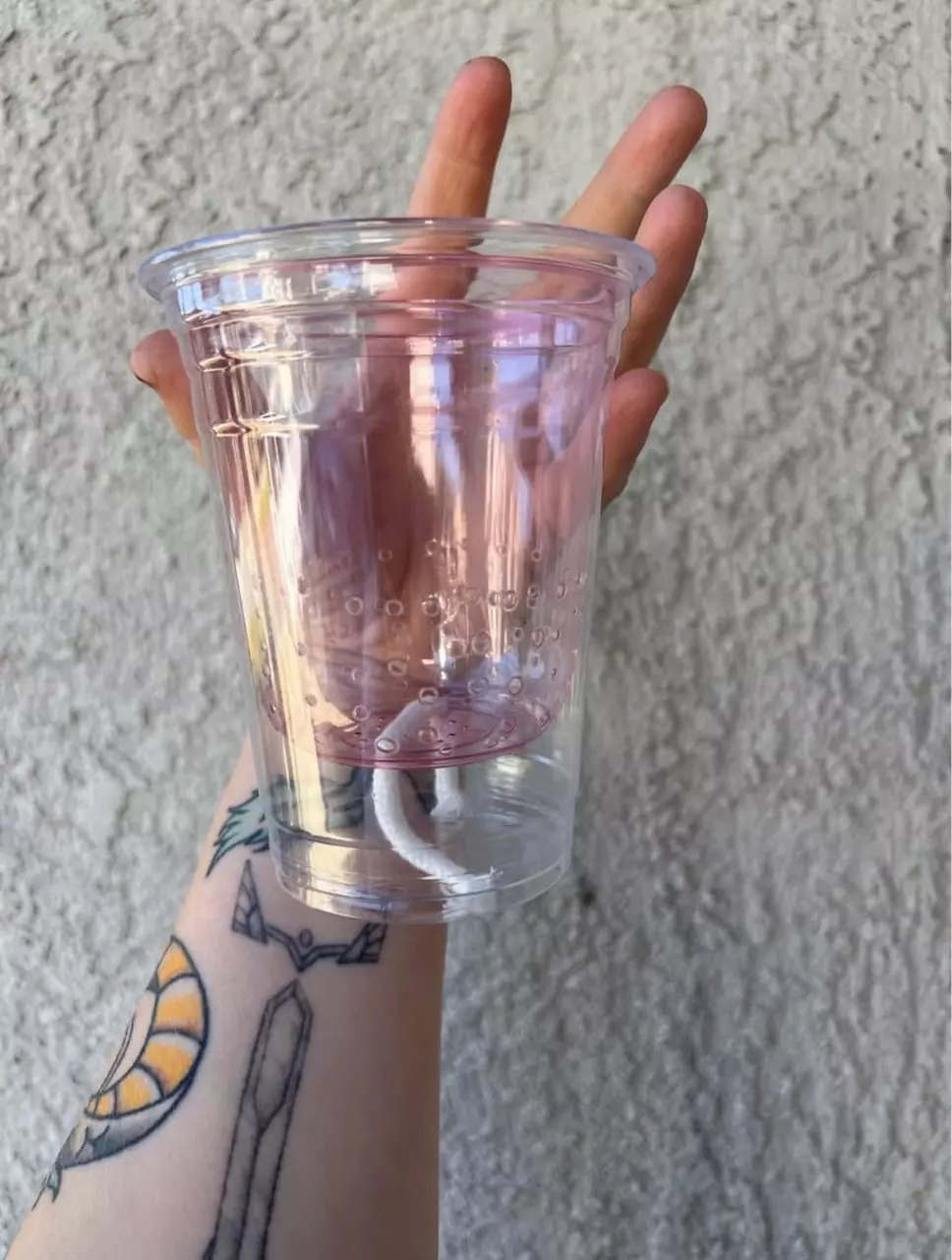 plant/Semi Hydro Pot/Cups-1