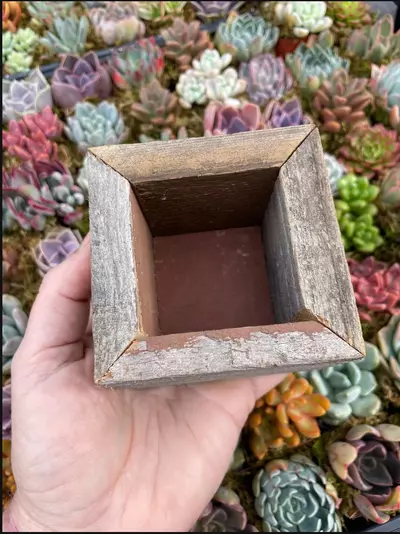 plant/Reclaimed Wood Planter - Small-4-thumbnail