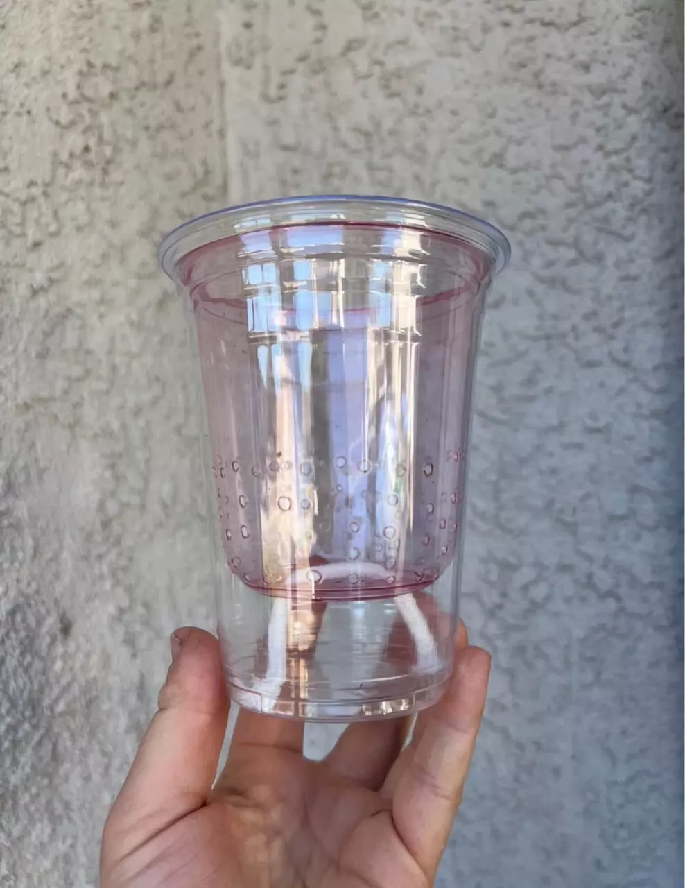 plant/Semi Hydro Pot/Cups-0