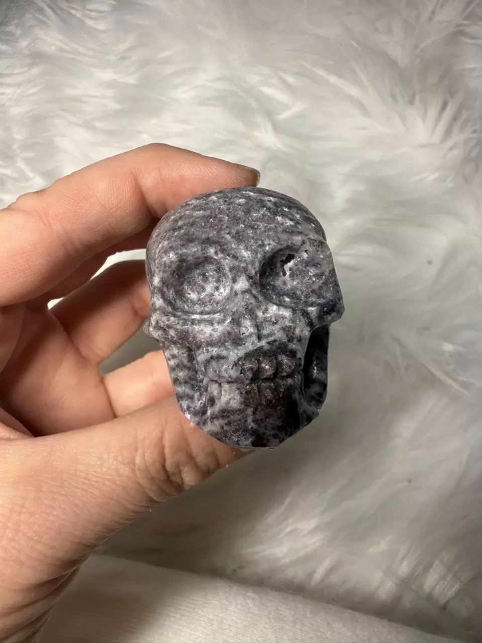 plant/Zebra jasper skull-0