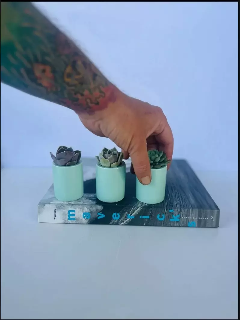 plant/Mint Pixie Pots - set of 3-2