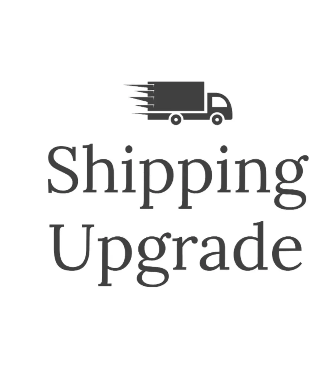 shipping_upgrade/UPS NEXT DAY - LARGE BOX-0