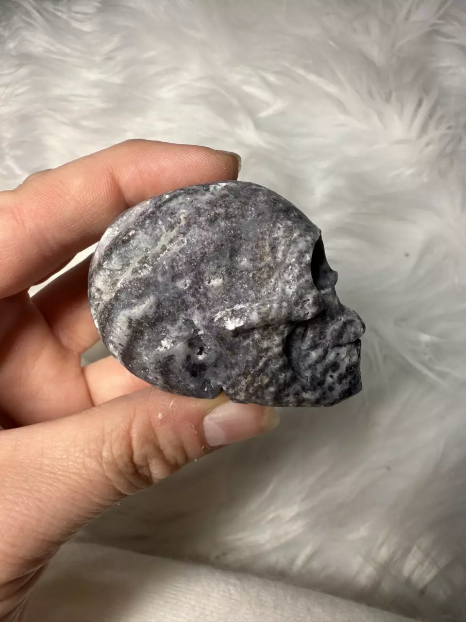 plant/Zebra jasper skull-1