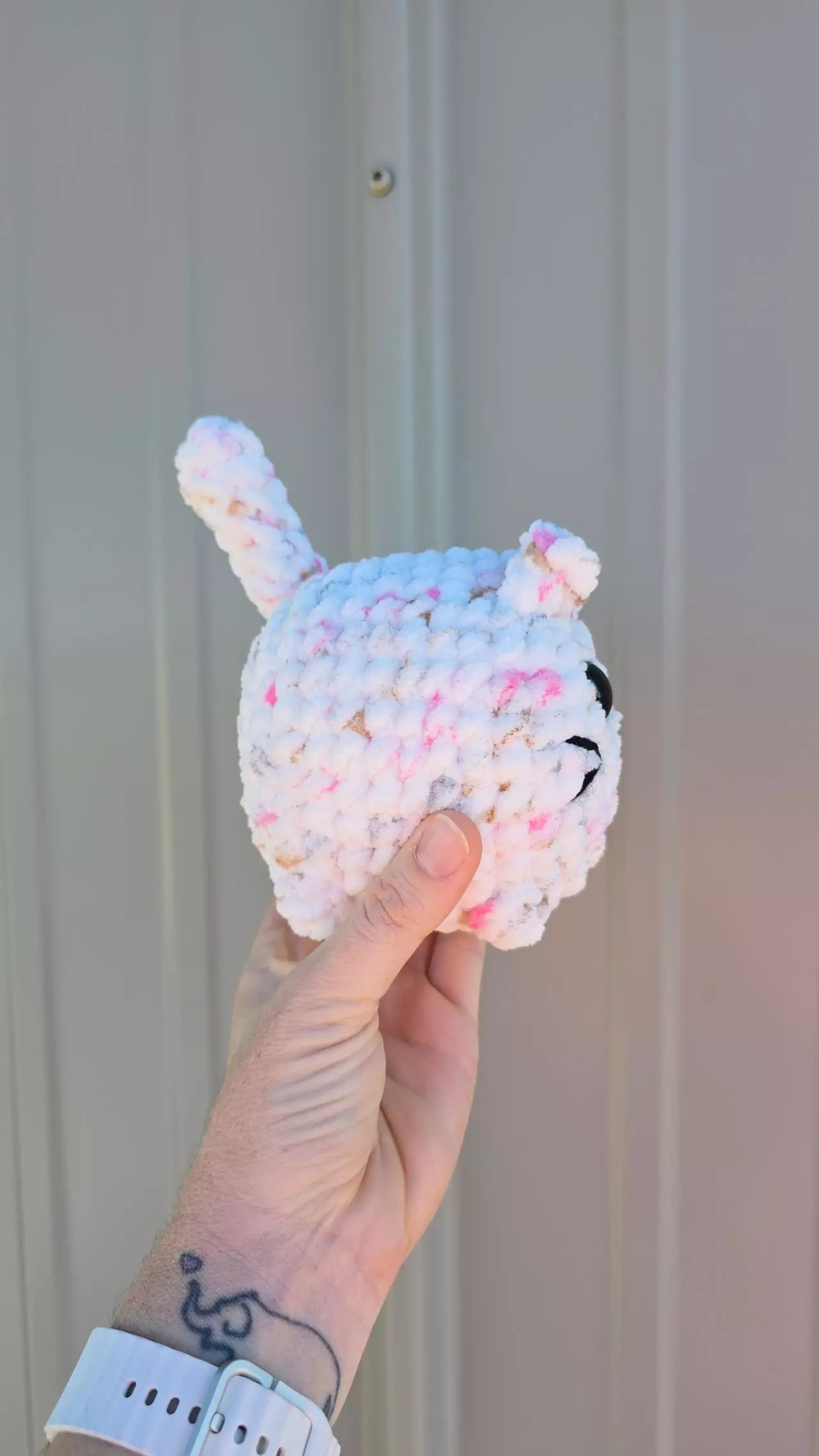 plant/Loaf Cat - Speckle-1