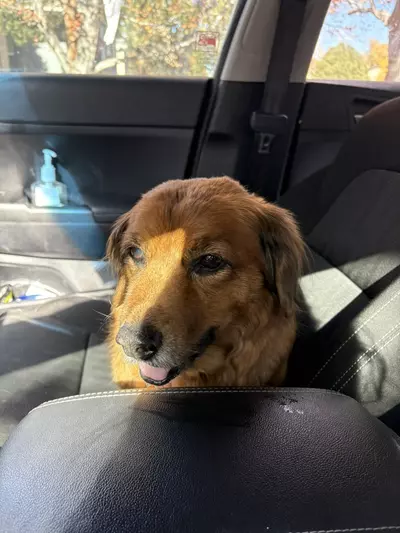 free_shipping/Shipping Hold 💌-0-thumbnail