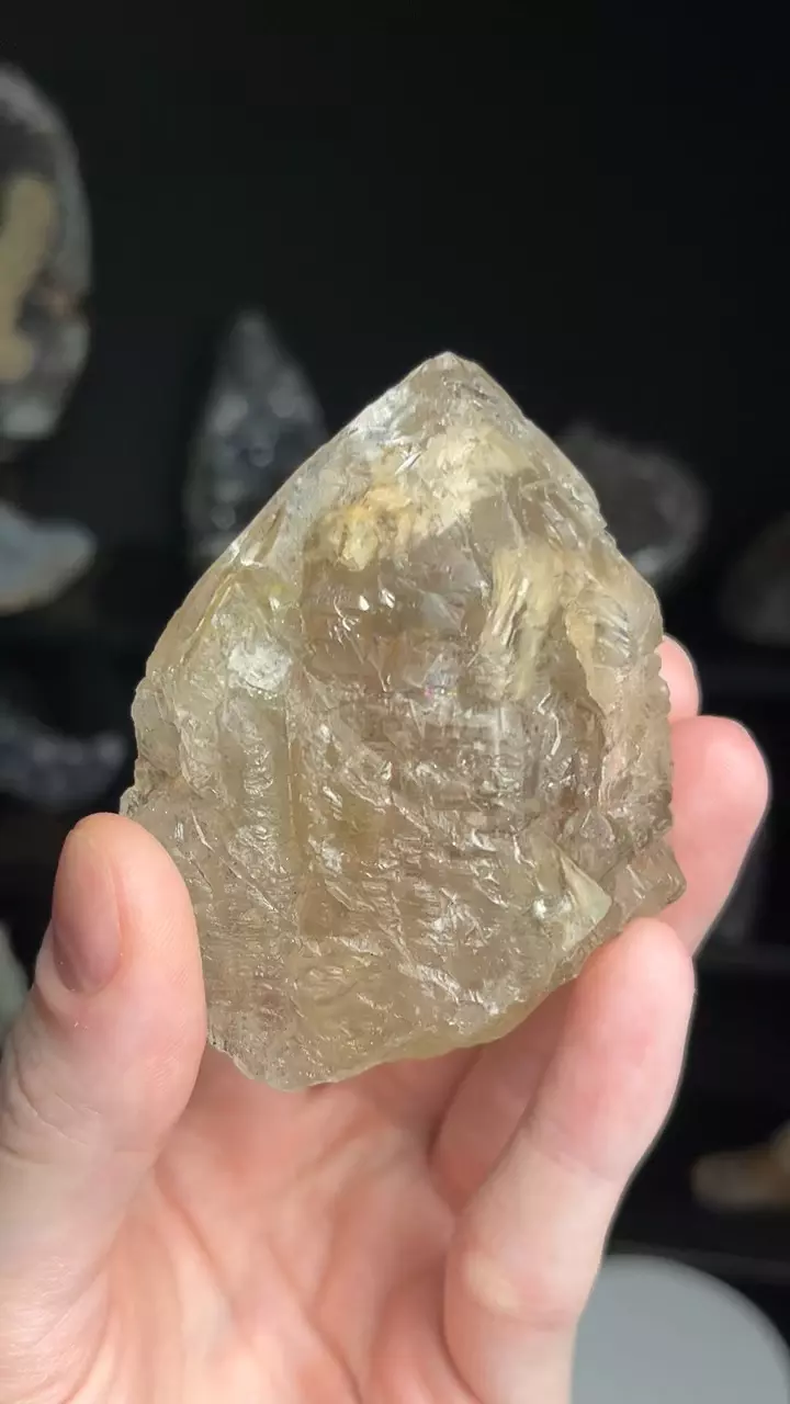 plant/Mandys Bundle-0