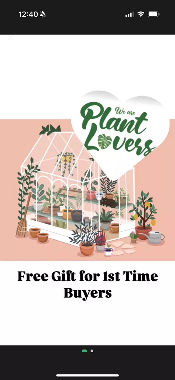 plant/first time free gift 💝-0