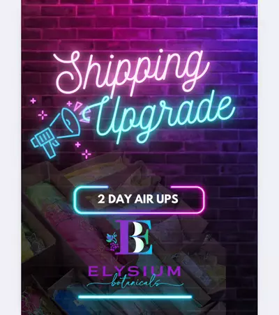 shipping_upgrade/2 DAY AIR UPS (Add-On)-0-thumbnail