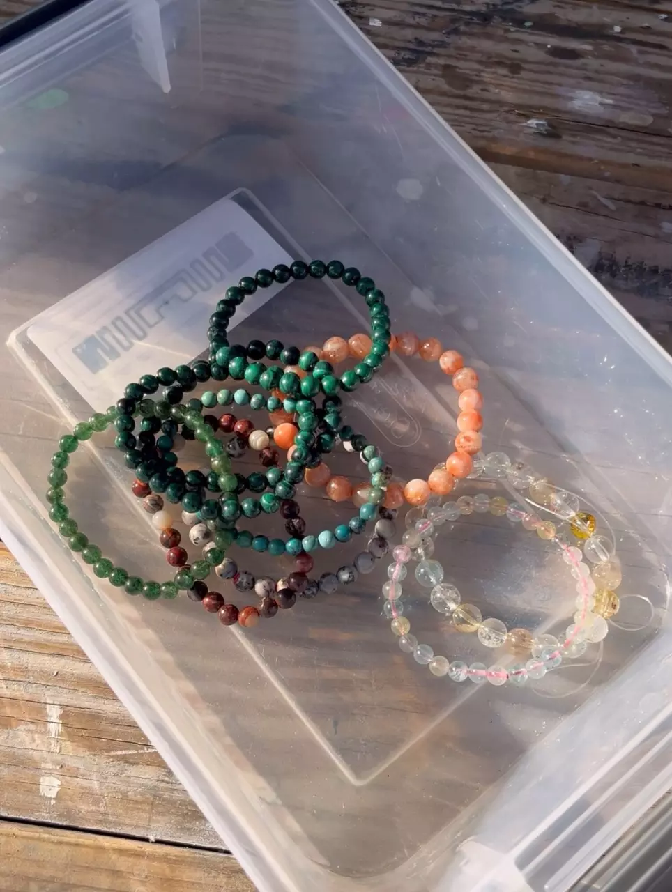 plant/Willow bundle-0