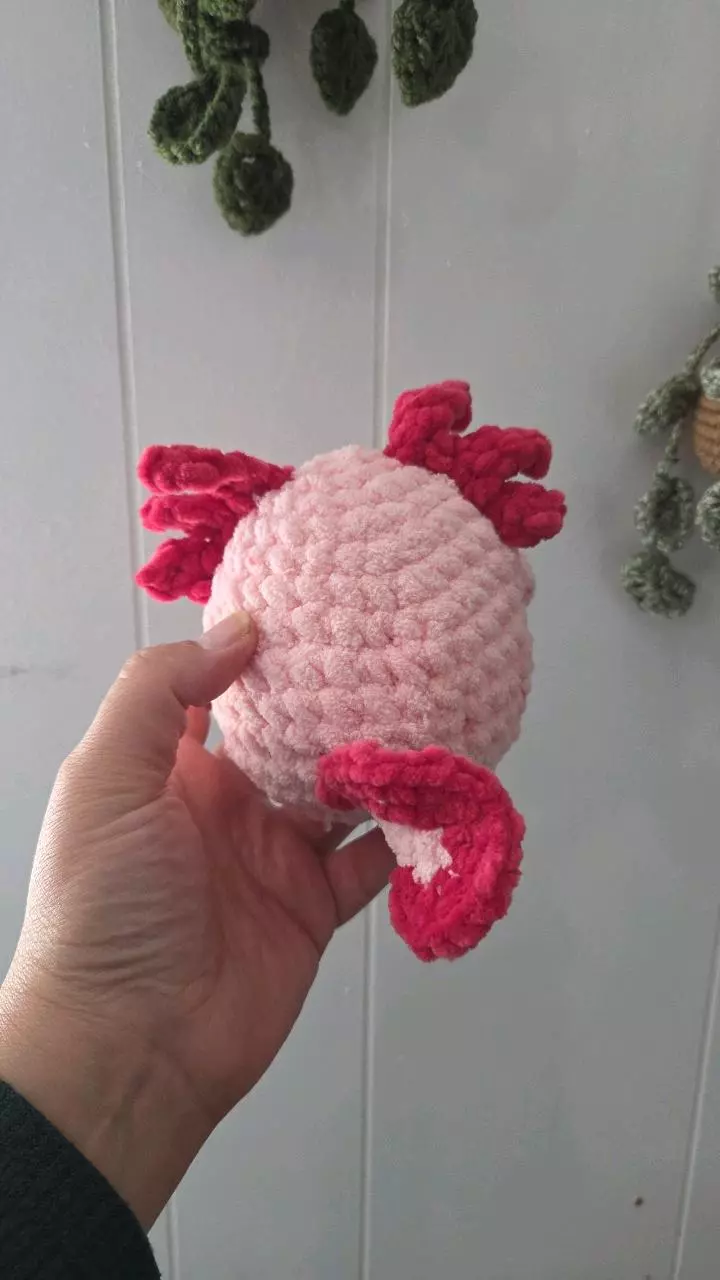plant/Pink Axolotl-1