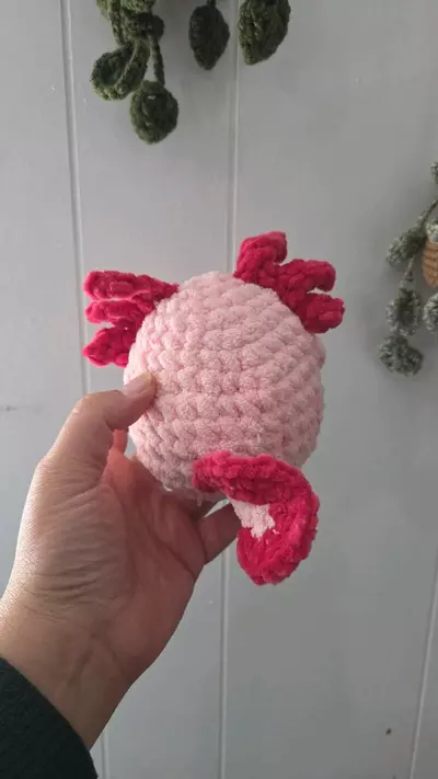 plant/Pink Axolotl-1-thumbnail