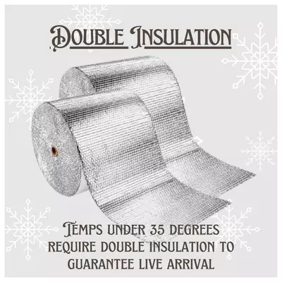 insulation/Double Insulation-0-thumbnail