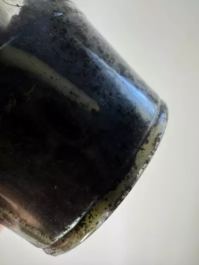 plant/Anthurium NOID-4-thumbnail