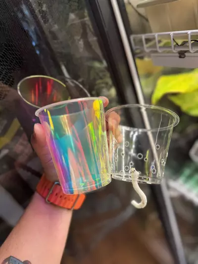 plant/Iridescent Self-Watering Cup-0-thumbnail