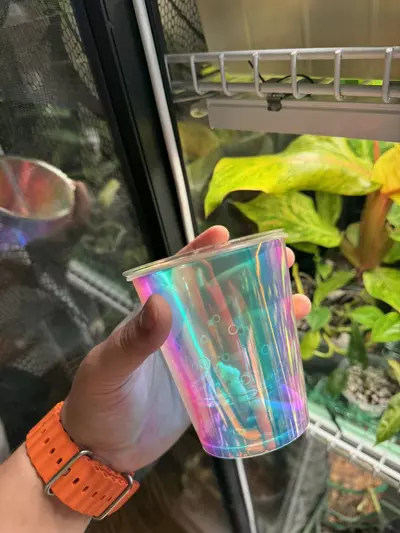 plant/Iridescent Self-Watering Cup-2-thumbnail