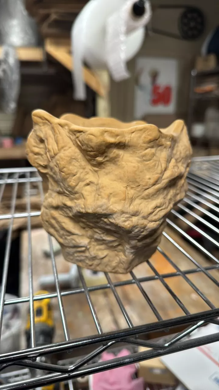 plant/3.75” Tornado-0