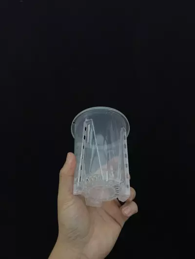 plant/4” clear breathing pot x 5-0-thumbnail