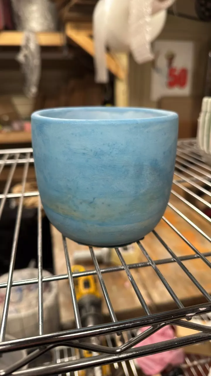 plant/4” perfect-0