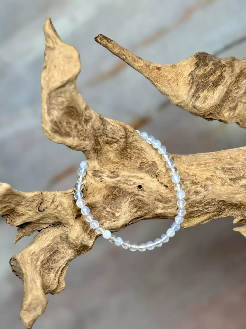 plant/opalite 4mm (handmade)-0