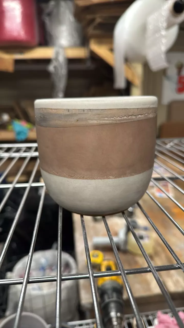 plant/4” Perfect-0