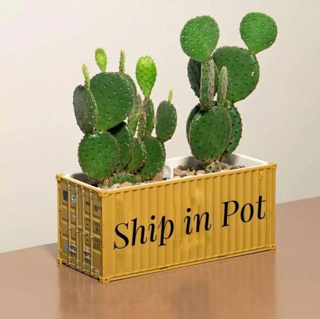 shipping_upgrade/Ship-in-Pot service, for whole order-0
