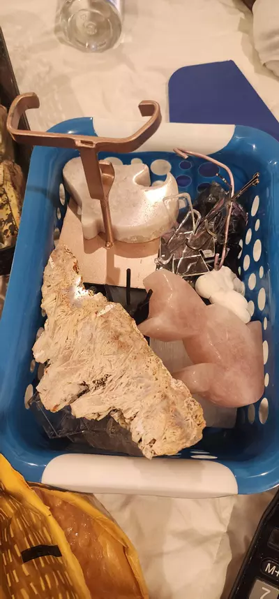 plant/Stephie bundle-0-thumbnail