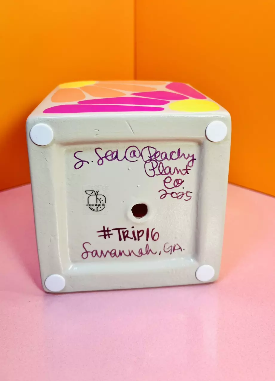 plant/Hand Painted Square Pot 4 in. | Smokey Beige #TRIP16-8