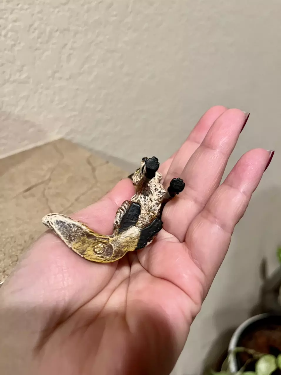 plant/Vienna Bronze SITTING FOX 2”  Cold Painted Brass Wiener miniature-1